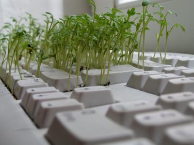 Beispiel f&uuml;r ein Minimum an Energie